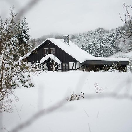 Romantikhuette Neuastenberg Winterberg Bagian luar foto